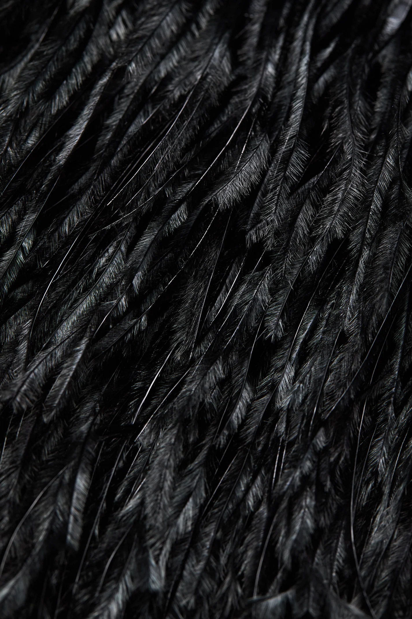 FEATHER SCARF - Image 6