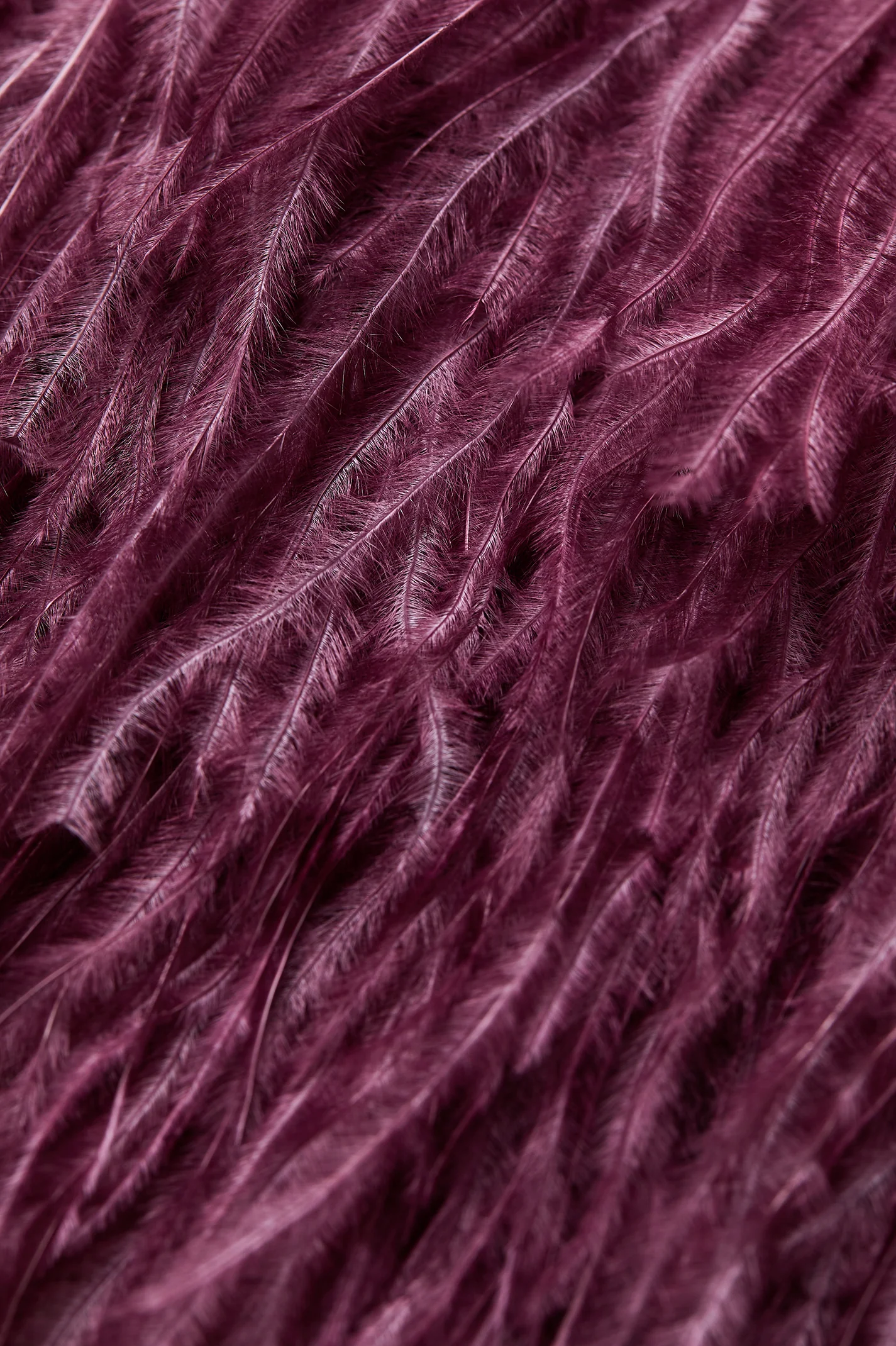 FEATHER SCARF - Image 5