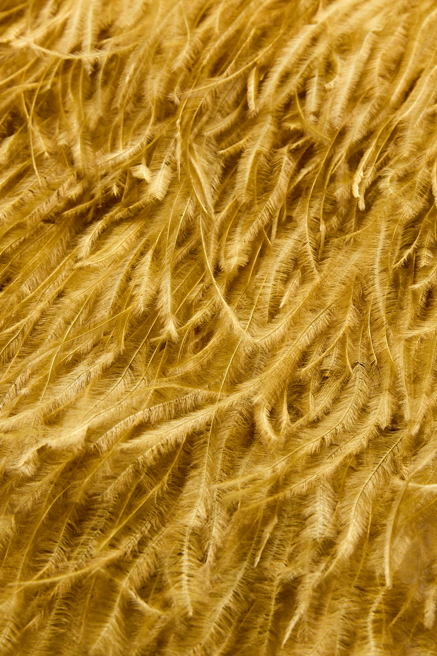 FEATHER SCARF - Image 4
