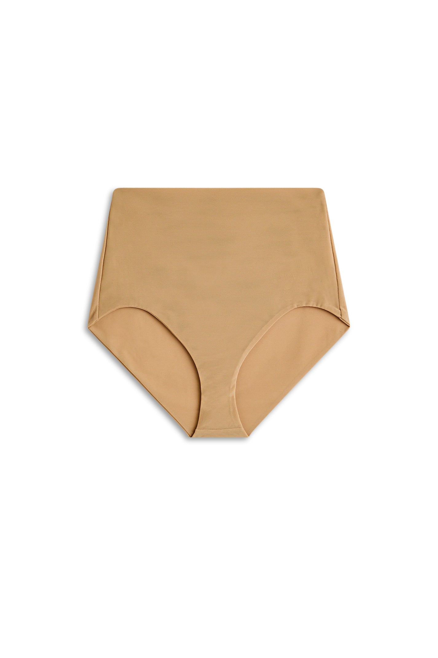 MESH BRIEF