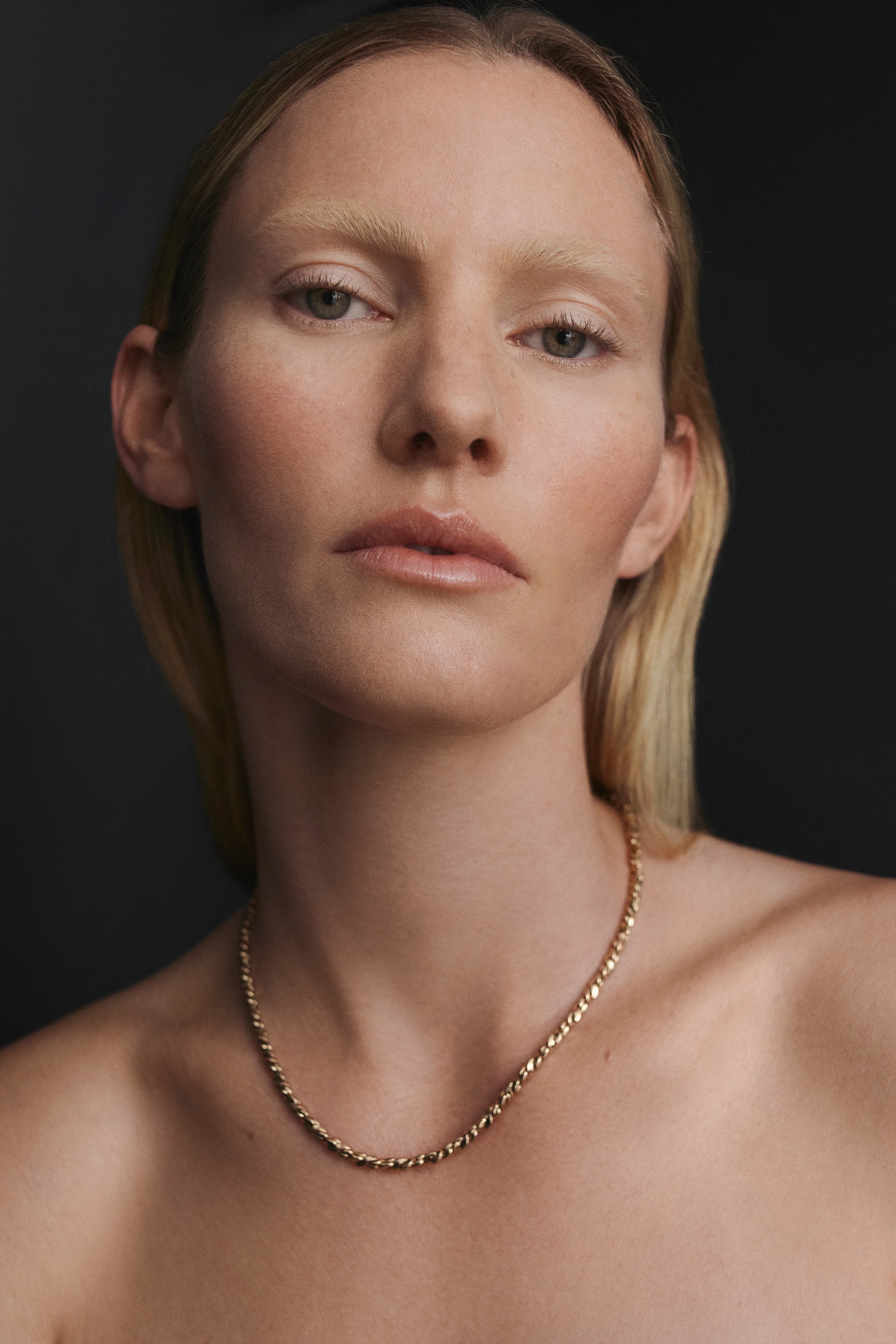 PETRA FINE CHAIN CHOKER - Image 3