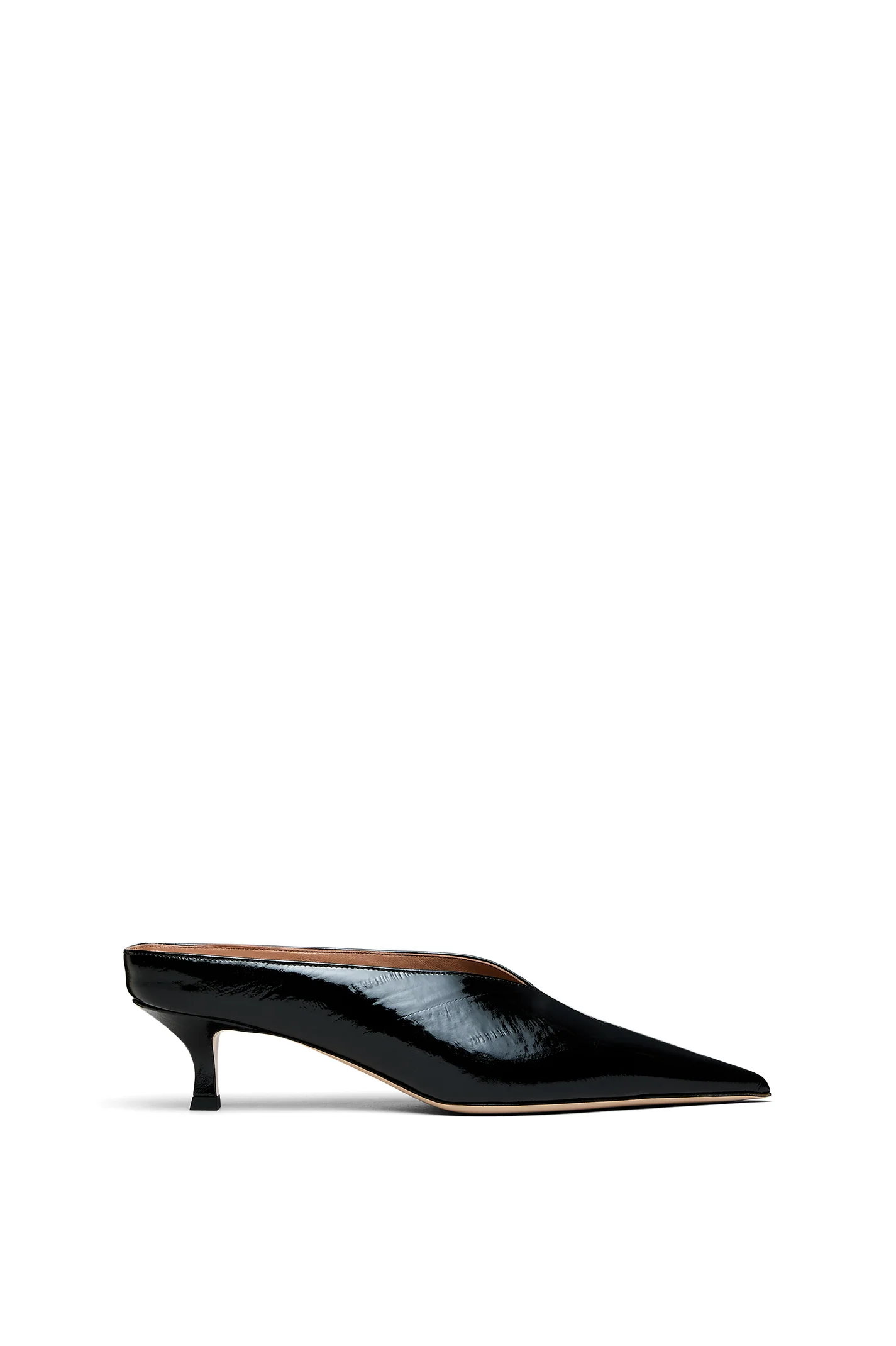 POINTED SLIDE 4.5